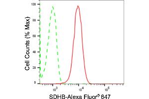 Flow cytometric analysis of SDHB expression in HepG2 cells using SDHB antibody (ABIN7800454), 1:2,000).