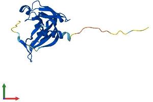 AlphaFold protein structure predicition of Human Recombinant NUDT11 Protein, UniprotID Q96G61