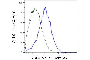 anti-Leucine-Rich Repeats and Calponin Homology (CH) Domain Containing 4 (LRCH4) antibody