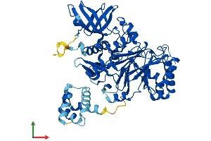 AlphaFold protein structure predicition of Mouse Recombinant Pole2 Protein, UniprotID O54956
