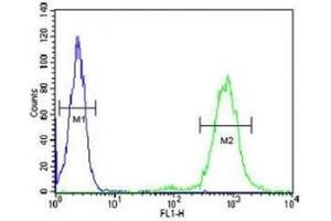 CD69 antibody flow cytometric analysis of HL-60 cells (right histogram) compared to a negative control (left histogram).