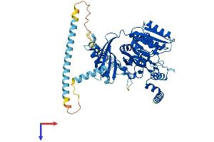 AlphaFold protein structure predicition of Human Recombinant CSGALNACT1 Protein, UniprotID Q8TDX6