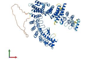 AlphaFold protein structure predicition of Human Recombinant FEM1A Protein, UniprotID Q9BSK4