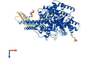 AlphaFold protein structure predicition of Mouse Recombinant Cpt1b Protein, UniprotID Q924X2