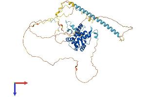 AlphaFold protein structure predicition of Human Recombinant ARFGAP3 Protein, UniprotID Q9NP61