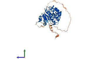 AlphaFold protein structure predicition of Human Recombinant SKP2 Protein, UniprotID Q13309
