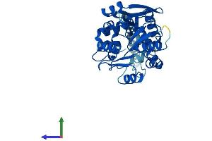 AlphaFold protein structure predicition of Mouse Recombinant Mest Protein, UniprotID Q07646