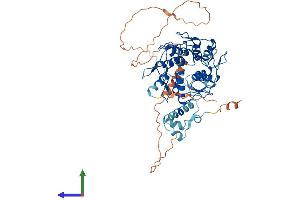 AlphaFold protein structure predicition of Human Recombinant ZNF570 Protein, UniprotID Q96NI8