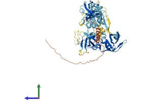 AlphaFold protein structure predicition of Mouse Recombinant Themis Protein, UniprotID Q8BGW0