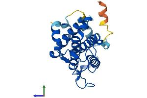 AlphaFold protein structure predicition of Mouse Recombinant Mob3b Protein, UniprotID Q8VE04
