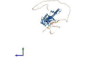 AlphaFold protein structure predicition of Mouse Recombinant Pspc1 Protein, UniprotID Q8R326
