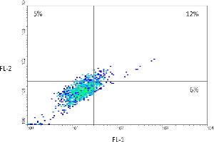 Fluorescence-activated cell sorting analysis after co-icubation of HCT116 cells with FITC-labeled CaIX-P1 and rhodamine-labeled anti-human CAIX mAb.
