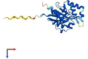 AlphaFold protein structure predicition of Human Recombinant PPCDC Protein, UniprotID Q96CD2
