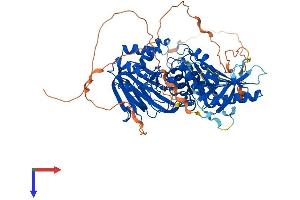AlphaFold protein structure predicition of Human Recombinant SPHK2 Protein, UniprotID Q9NRA0