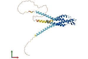 AlphaFold protein structure predicition of Human Recombinant GJD2 Protein, UniprotID Q9UKL4