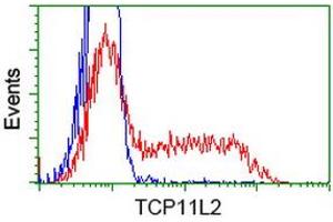 HEK293T cells transfected with either RC207129 overexpress plasmid (Red) or empty vector control plasmid (Blue) were immunostained by anti-TCP11L2 antibody (ABIN2453718), and then analyzed by flow cytometry. (TCP11L2 anticorps)