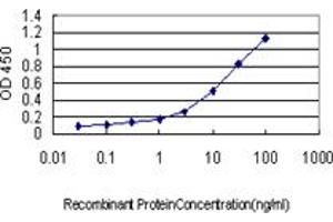 Detection limit for recombinant GST tagged KIF2 is approximately 0.