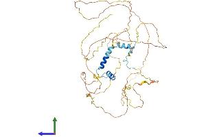AlphaFold protein structure predicition of Human Recombinant GPBP1 Protein, UniprotID Q86WP2