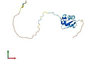 AlphaFold protein structure predicition of Human Recombinant RPS25 Protein, UniprotID P62851