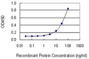 Detection limit for recombinant GST tagged CD59 is 1 ng/ml as a capture antibody. (CD59 anticorps  (AA 1-128))
