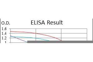 Figure 1: Red: Control Antigen (100 ng), Purple: Antigen (10ng), Green: Antigen (50 ng), Blue: Antigen (100 ng)
