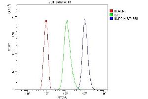 Flow Cytometry analysis of HL-60 cells using anti-NUP214 antibody (ABIN7601473).