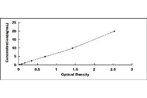 Typical standard curve