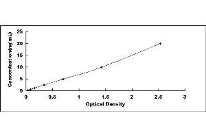 Typical standard curve (TXNRD2 Kit ELISA)