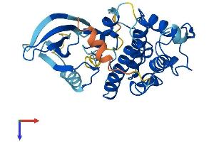 AlphaFold protein structure predicition of Human Recombinant CDK3 Protein, UniprotID Q00526