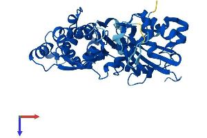AlphaFold protein structure predicition of Mouse Recombinant Actr2 Protein, UniprotID P61161