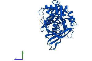 AlphaFold protein structure predicition of Human Recombinant L3HYPDH Protein, UniprotID Q96EM0