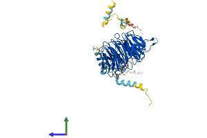 AlphaFold protein structure predicition of Mouse Recombinant Cdc20 Protein, UniprotID Q9JJ66