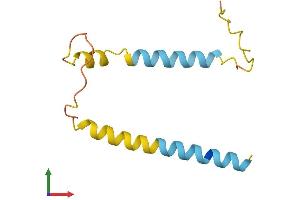 AlphaFold protein structure predicition of Mouse Recombinant Pmaip1 Protein, UniprotID Q9JM54