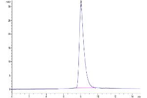 The purity of Mouse IL-2 R gamma is greater than 95 % as determined by SEC-HPLC.