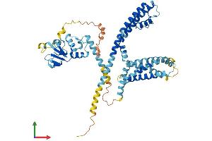 AlphaFold protein structure predicition of Human Recombinant KCNG1 Protein, UniprotID Q9UIX4