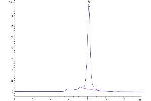 The purity of Biotinylated Human CDCP1 is greater than 95 % as determined by SEC-HPLC.