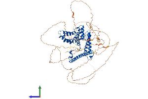 AlphaFold protein structure predicition of Human Recombinant DAXX Protein, UniprotID Q9UER7