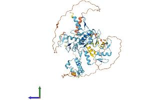 AlphaFold protein structure predicition of Human Recombinant ZFP90 Protein, UniprotID Q8TF47