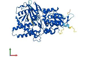 AlphaFold protein structure predicition of Mouse Recombinant Paox Protein, UniprotID Q8C0L6