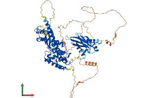 AlphaFold protein structure predicition of Mouse Recombinant Strbp Protein, UniprotID Q91WM1