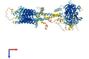 AlphaFold protein structure predicition of Human Recombinant ADCY4 Protein, UniprotID Q8NFM4
