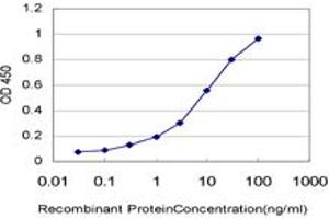 Detection limit for recombinant GST tagged ARAF is approximately 0. (ARAF anticorps  (AA 151-250))