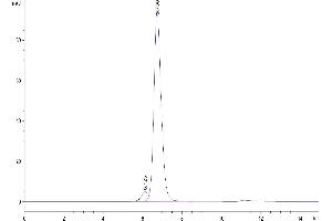 The purity of Rhesus macaque HLA-G complex Tetramer is greater than 95 % as determined by SEC-HPLC.