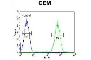 Flow Cytometry (FACS) image for anti-Fatty Acid Desaturase 2 (FADS2) antibody (ABIN3002322) (FADS2 anticorps)
