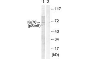 Western blot analysis of extracts from HeLa cells, using Ku70 (Phospho-Ser5) Antibody. (XRCC6 anticorps  (pSer5))