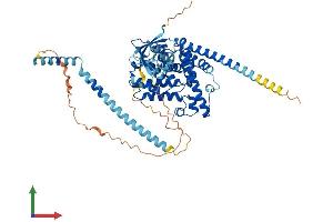 AlphaFold protein structure predicition of Human Recombinant PDE9A Protein, UniprotID O76083