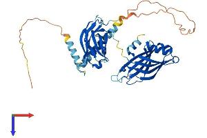 AlphaFold protein structure predicition of Human Recombinant SYT1 Protein, UniprotID P21579
