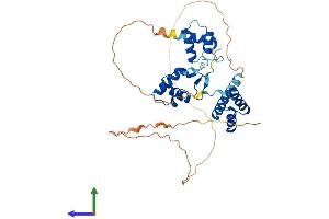 AlphaFold protein structure predicition of Mouse Recombinant Pax4 Protein, UniprotID P32115