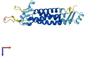 AlphaFold protein structure predicition of Human Recombinant LHFPL2 Protein, UniprotID Q6ZUX7