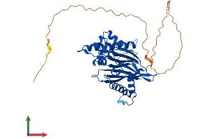 AlphaFold protein structure predicition of Human Recombinant ILKAP Protein, UniprotID Q9H0C8